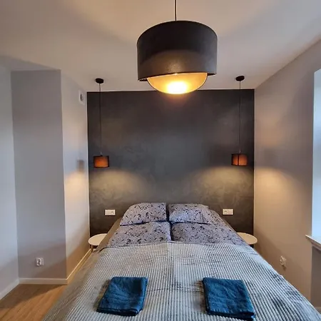 Piekny Apartament Przy Parku, Blisko Dworca, Centrum Radom Esterno foto